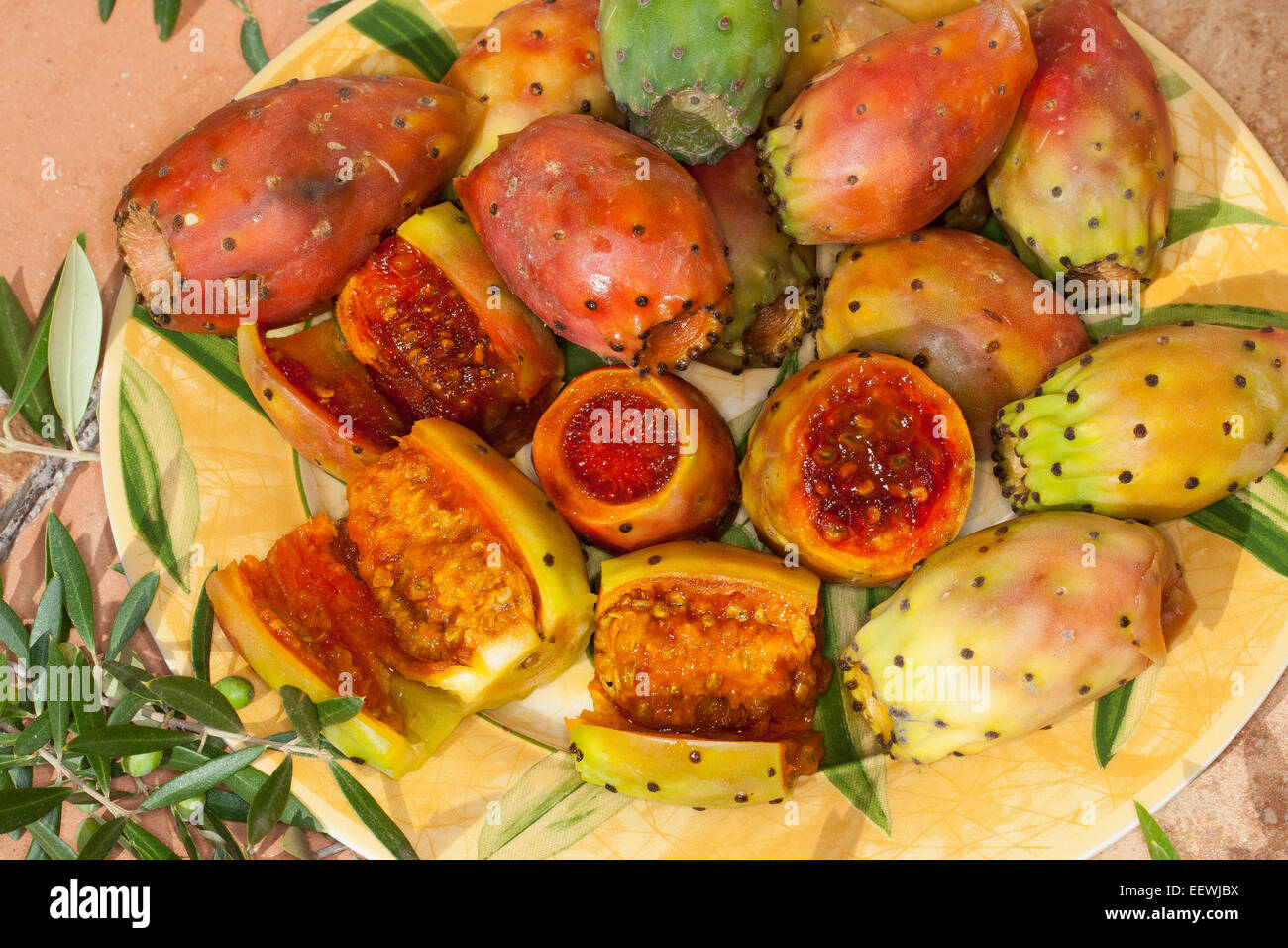 Indian fig opuntia, barbary fig, cactus pear, Prickley pear, Echter Feigenkaktus, Frucht, Kaktusfeige, Opuntia ficus-indica Stock Photo