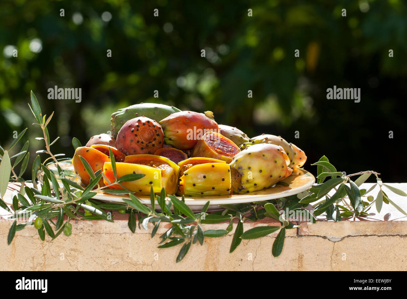 Indian fig opuntia, barbary fig, cactus pear, Prickley pear, Echter Feigenkaktus, Frucht, Kaktusfeige, Opuntia ficus-indica Stock Photo
