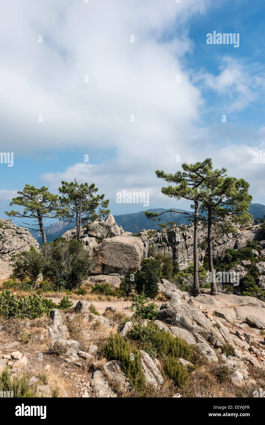 Alta Roca Corsica landscape nature hi-res stock photography and images - Alamy