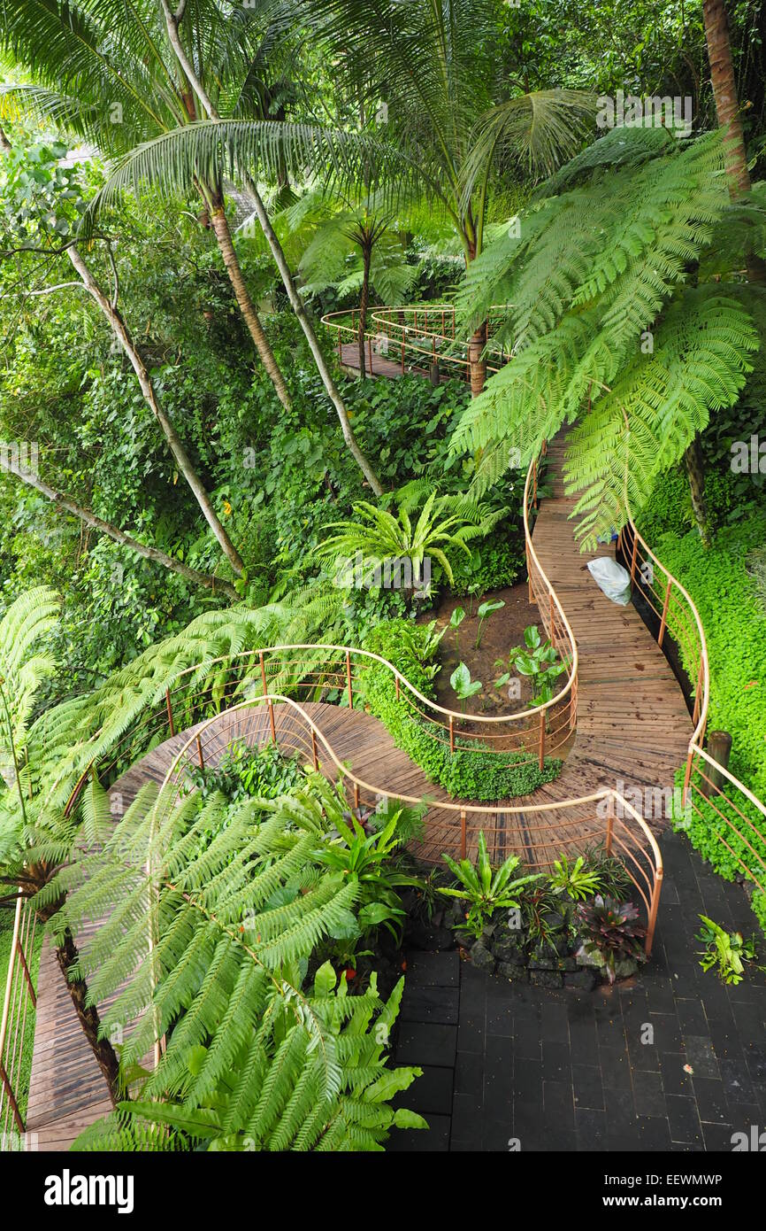 Curved wooden walkway in the tropical garden of a hotel in Ubud, Bali. Stock Photo