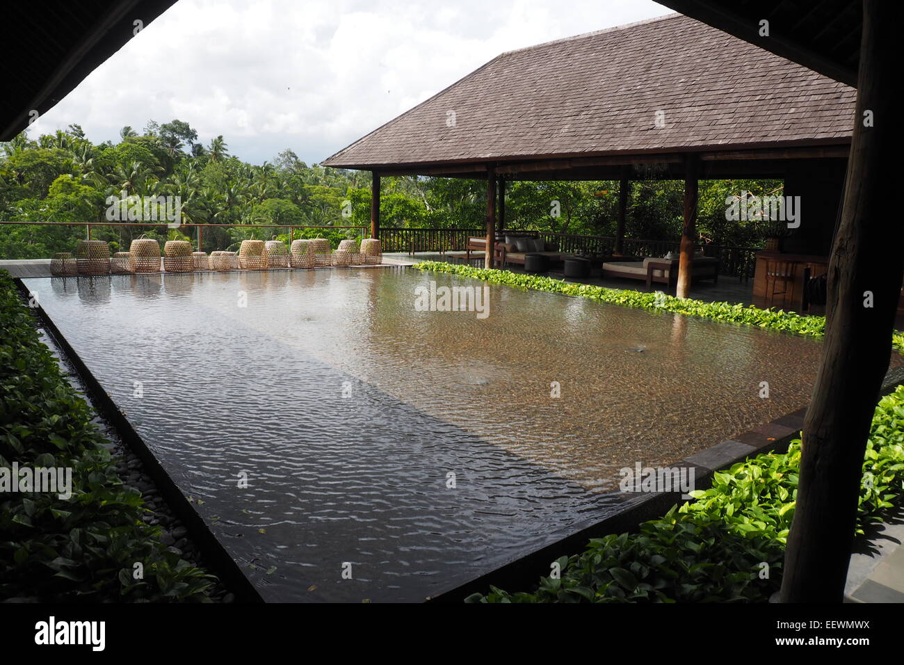 A pond in the forecourt of a hotel in Ubud, Bali Stock Photo