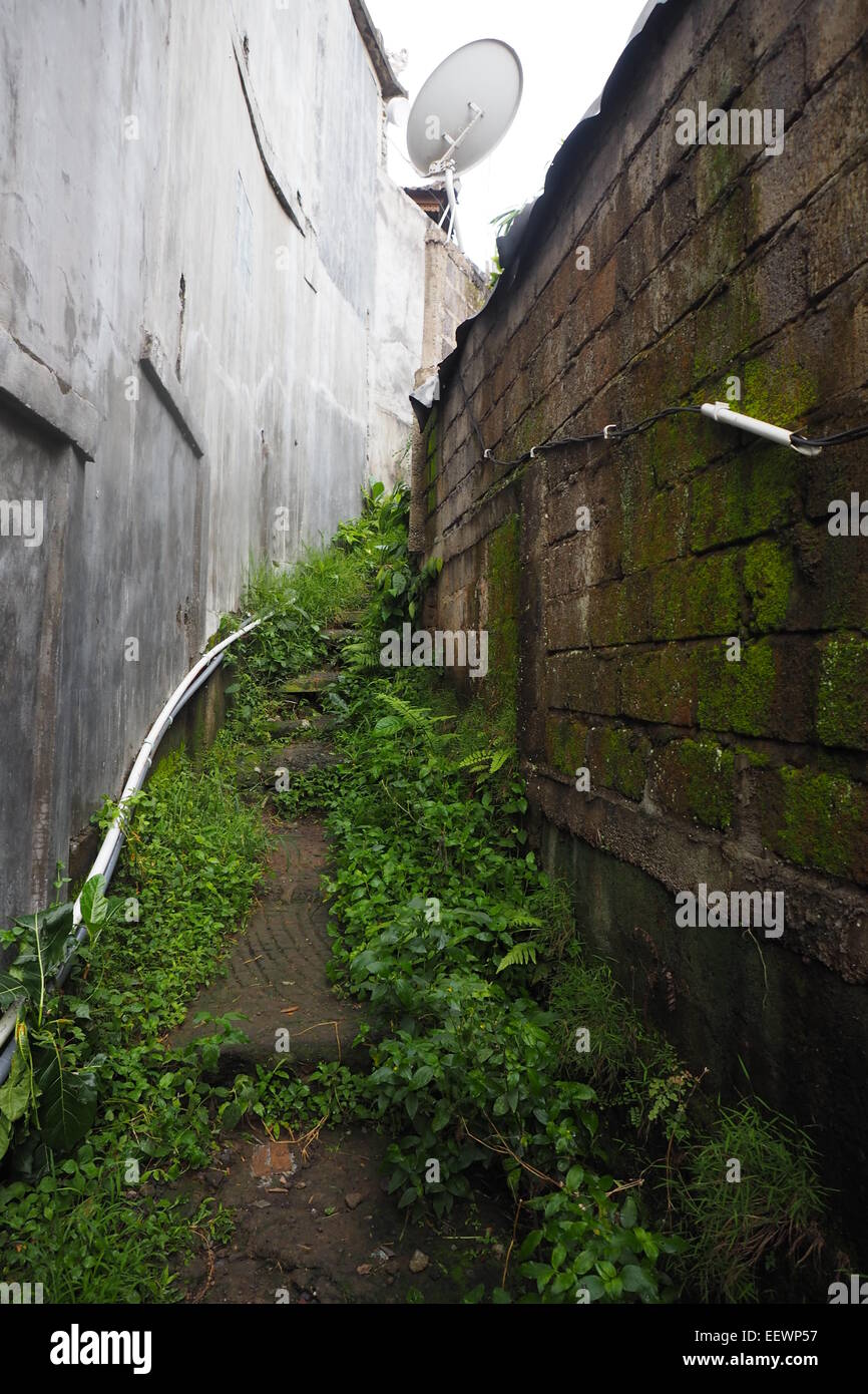 A narrow curved path between a building and a wall in Ubud, Bali. Stock Photo