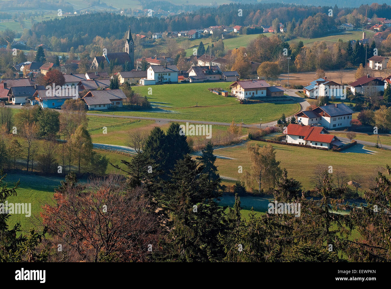 View of Neuschonau, Bavarian Forest, Bavaria, Germany Stock Photo