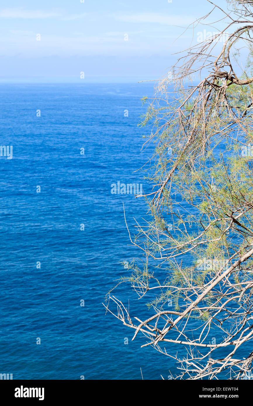 View of Atlantic Ocean in nature reserve Rambla de Castro by Los Realejos, Tenerife, Canary Islands, Spain. Stock Photo