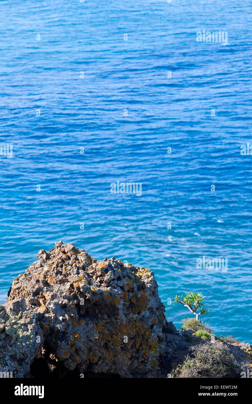 View of Atlantic Ocean in nature reserve Rambla de Castro by Los Realejos, Tenerife, Canary Islands, Spain. Stock Photo