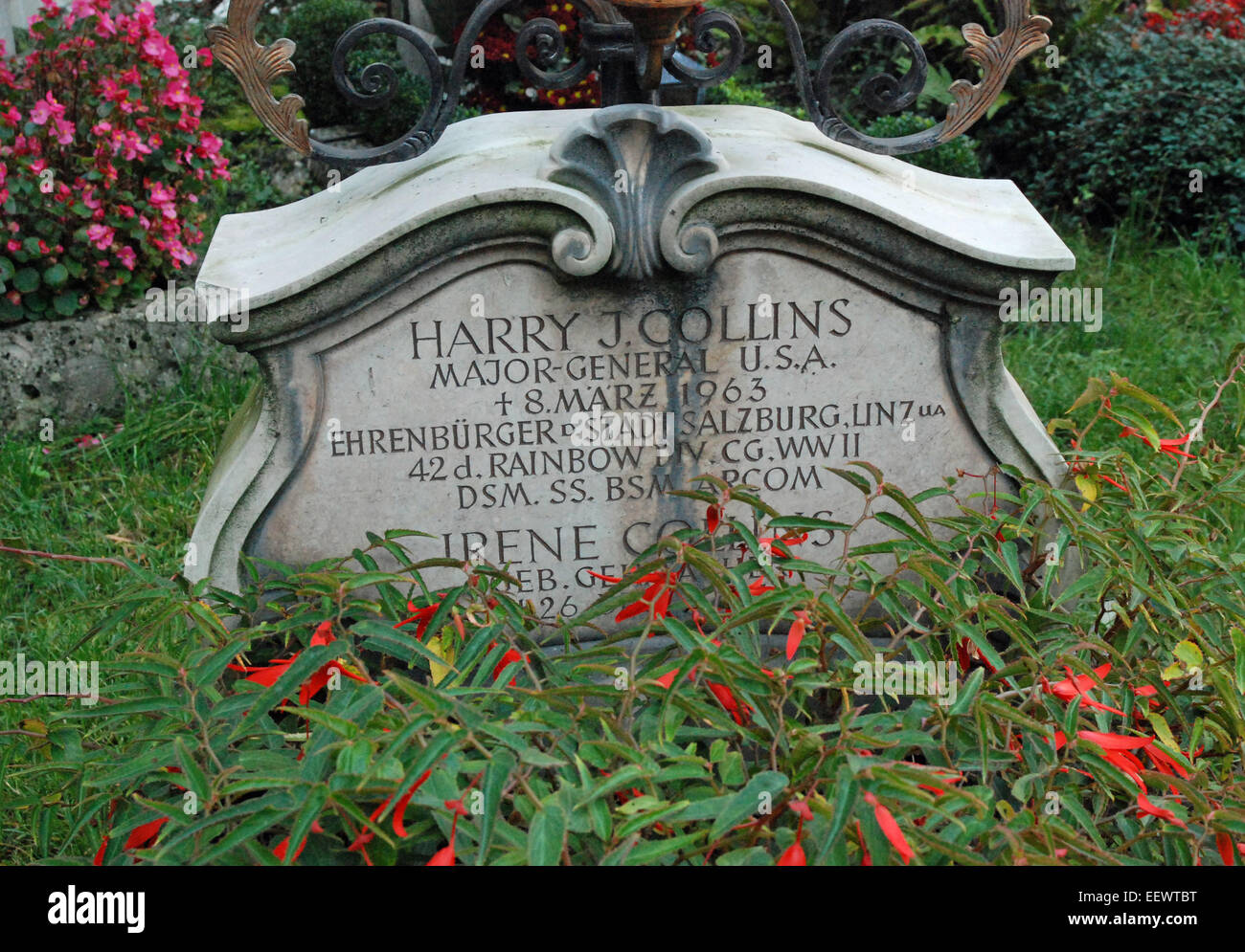 Harry Collins Rip Harry collins Stock Photos & Images from Alamy