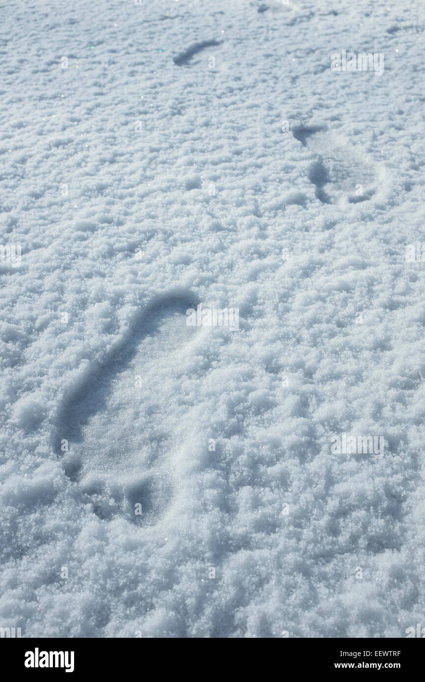 Human footprints in the snow Stock Photo Alamy