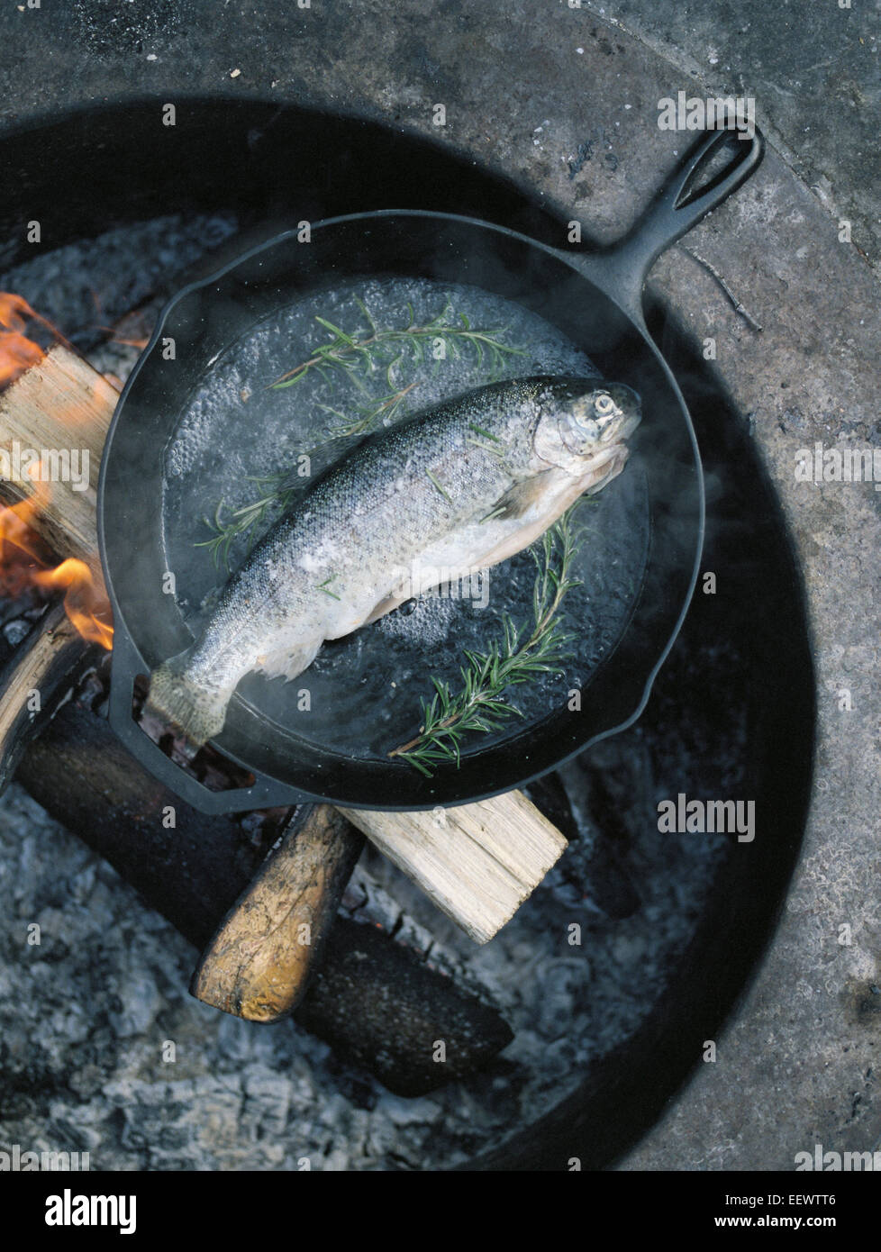 Campfire fish frying pan hi-res stock photography and images - Alamy