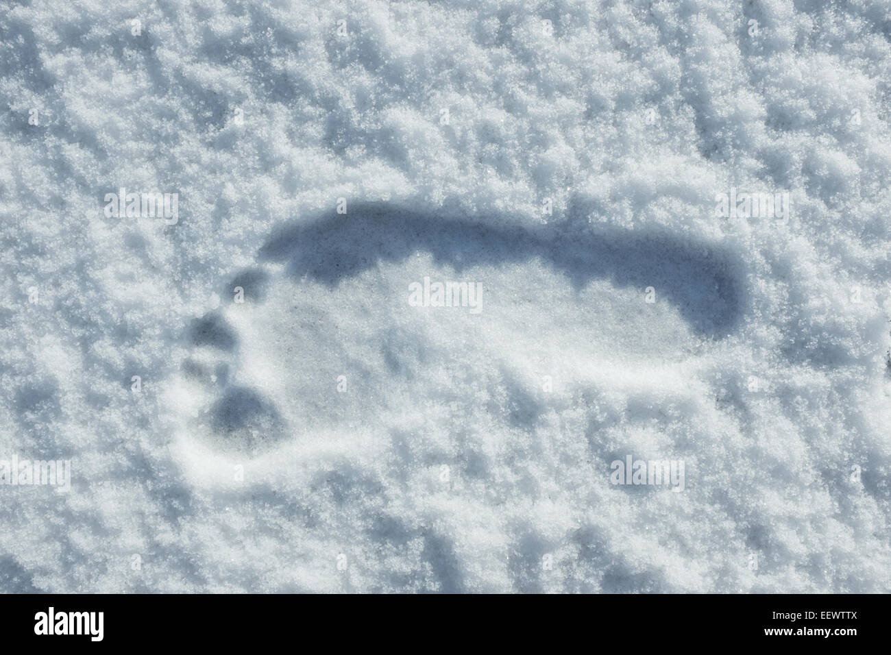 Human footprints in the snow. Stock Photo