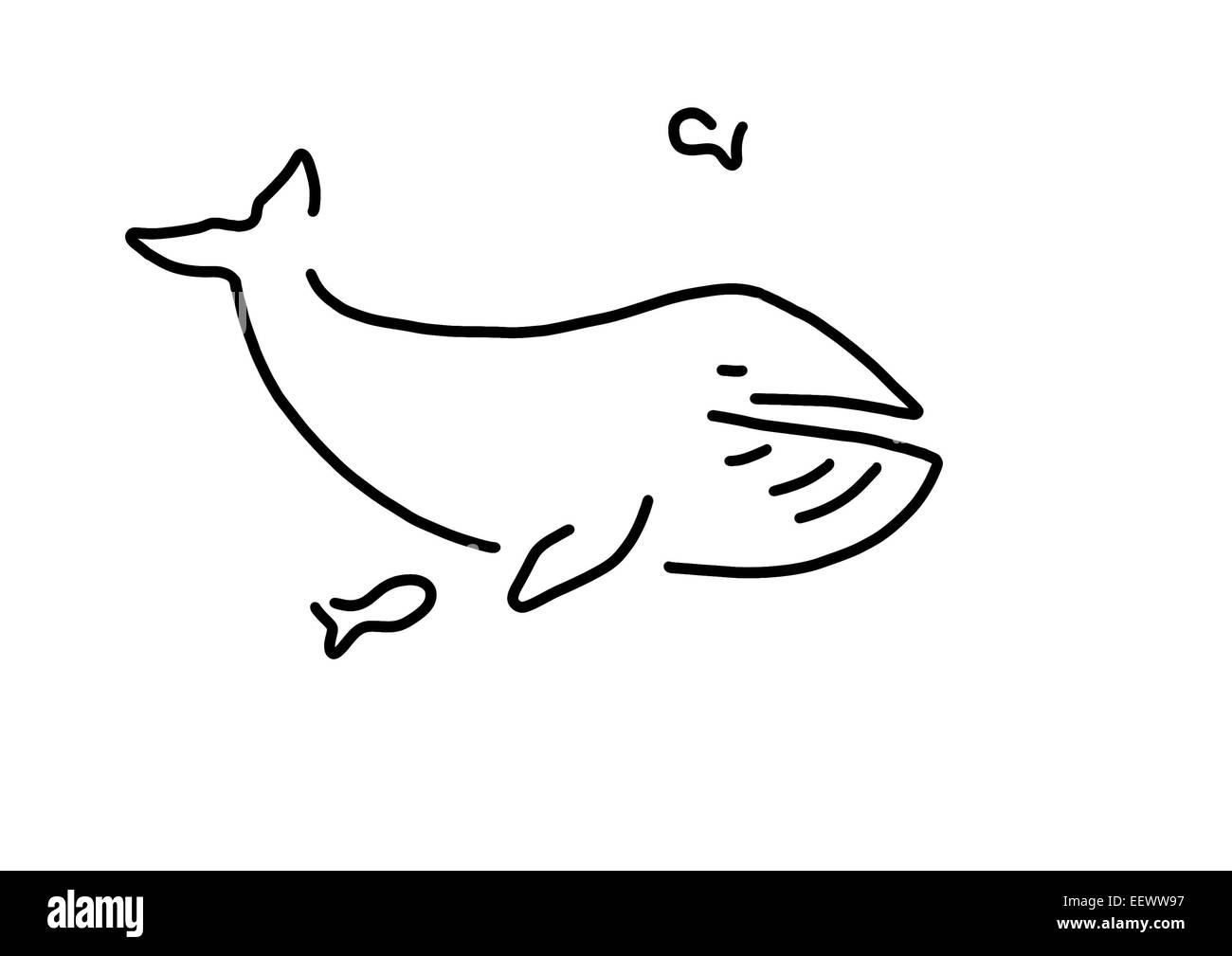 whale blue whale sea Stock Photo Alamy