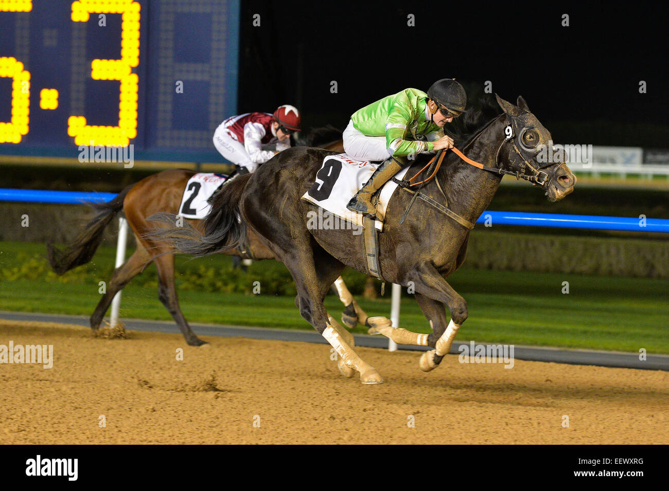 Dubai, UAE. 22nd January, 2015. TOOLAIN ridden by Marc Monaghan wins the Friday Handicap 2000m at the Meydan race track. The horse is trained by Satish Seemar and owned by Mansoor Mohd Jaber. Credit:  Feroz Khan/Alamy Live News Stock Photo