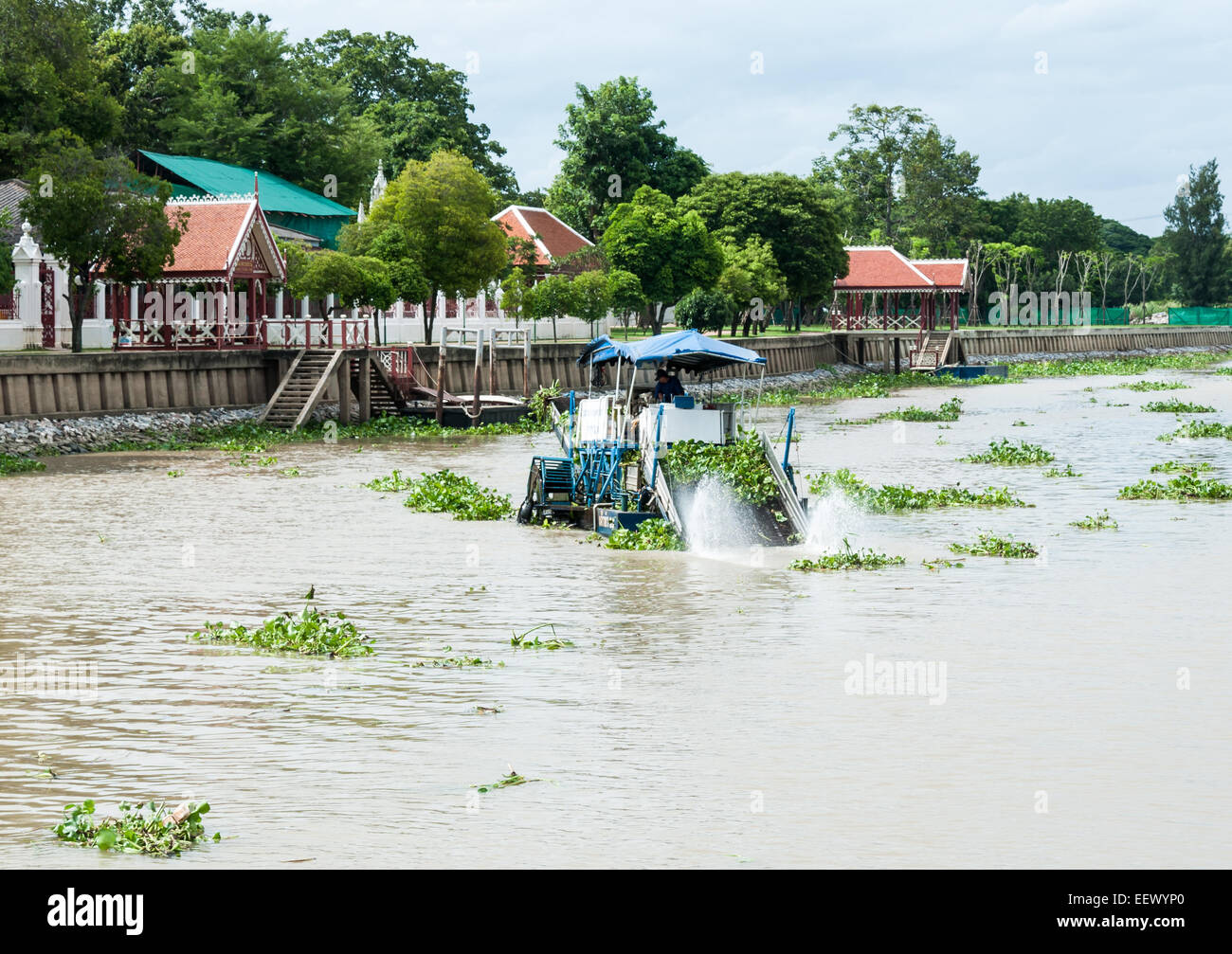 Water hyacinth boat removal hires stock photography and images Alamy
