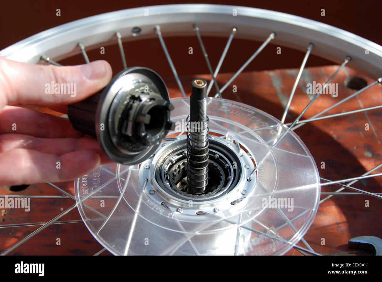 Fitting a new SRAM dual drive hub to a bicycle wheel Stock Photo - Alamy
