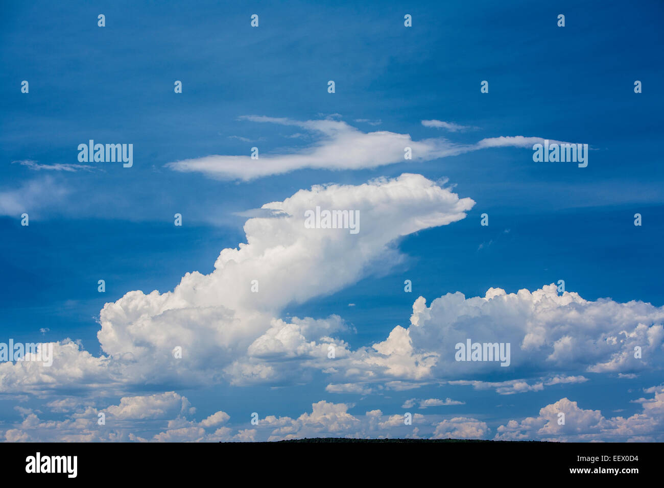 Nature environment hi-res stock photography and images - Alamy