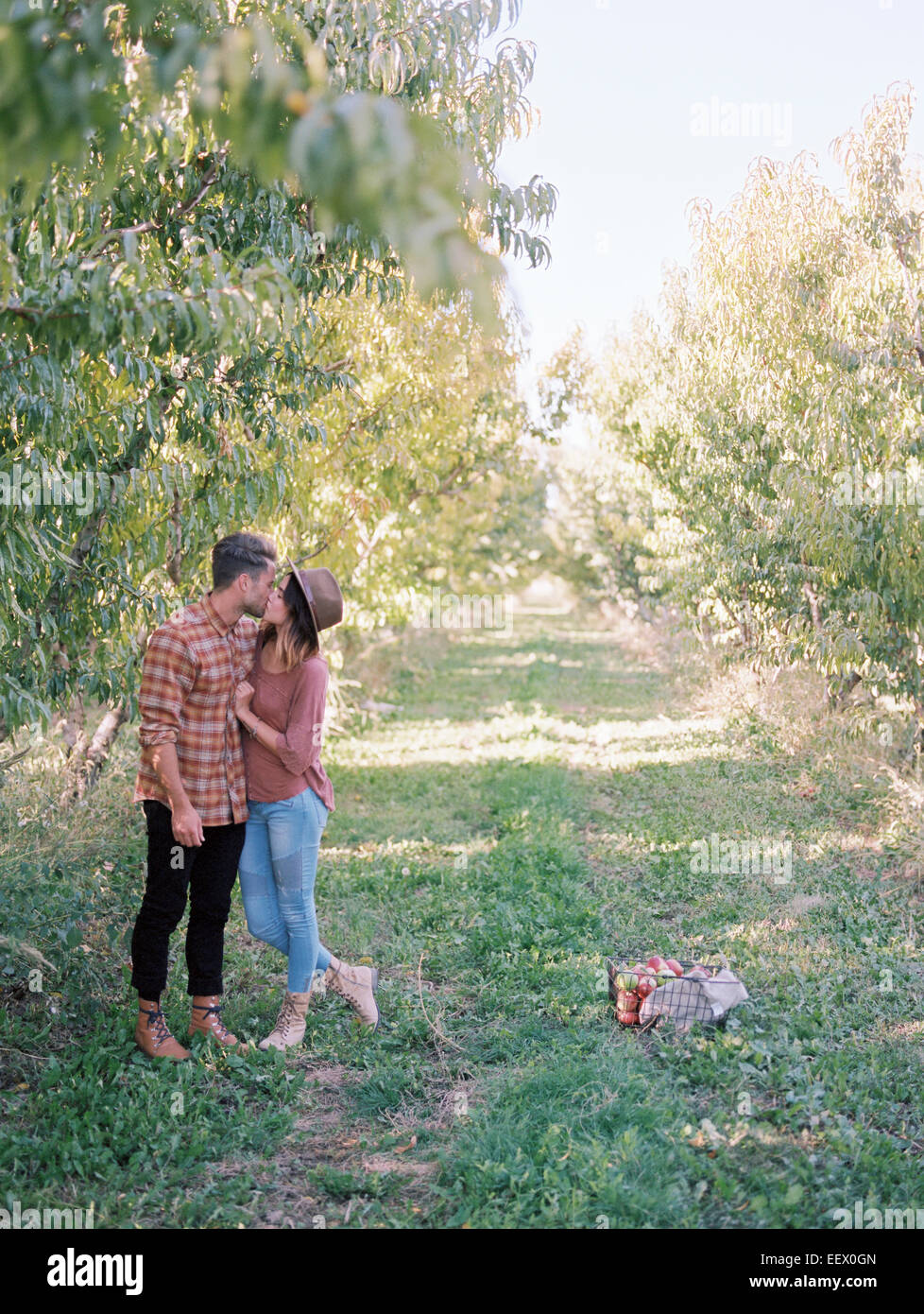 Apple orchard. A couple kissing. Stock Photo