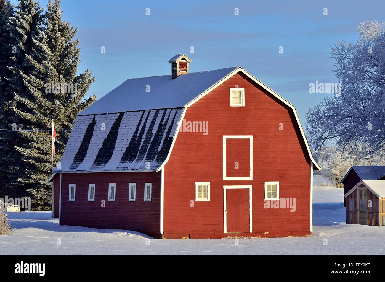 A horizontal winter landscape of a red barn with snow and frost in ...