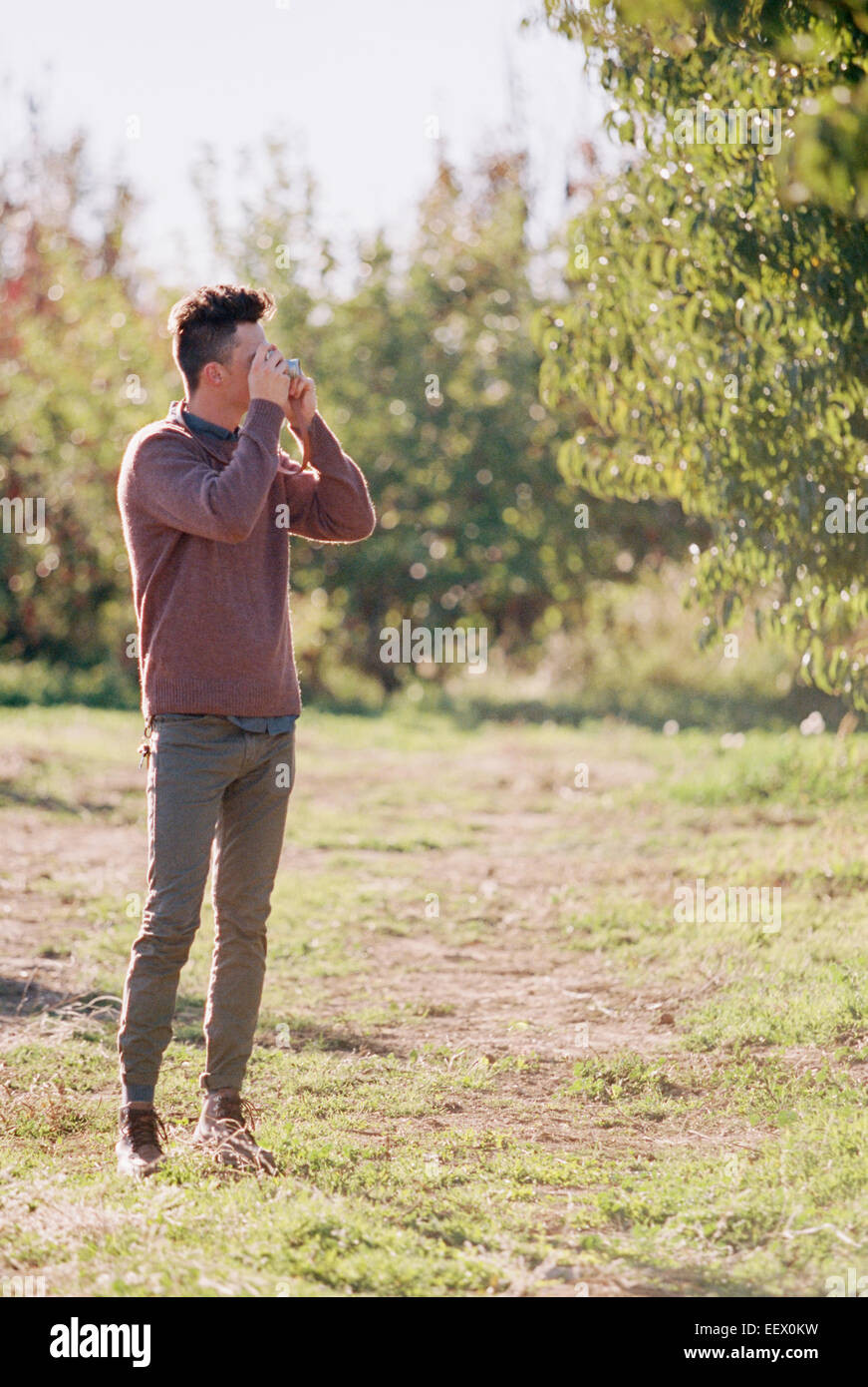 Apple orchard. Man taking a picture. Stock Photo