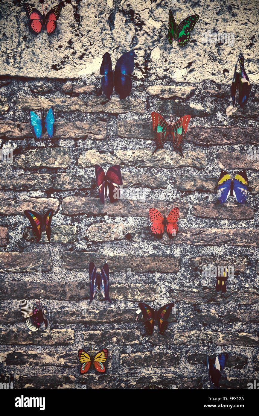butterflies on a wall Stock Photo
