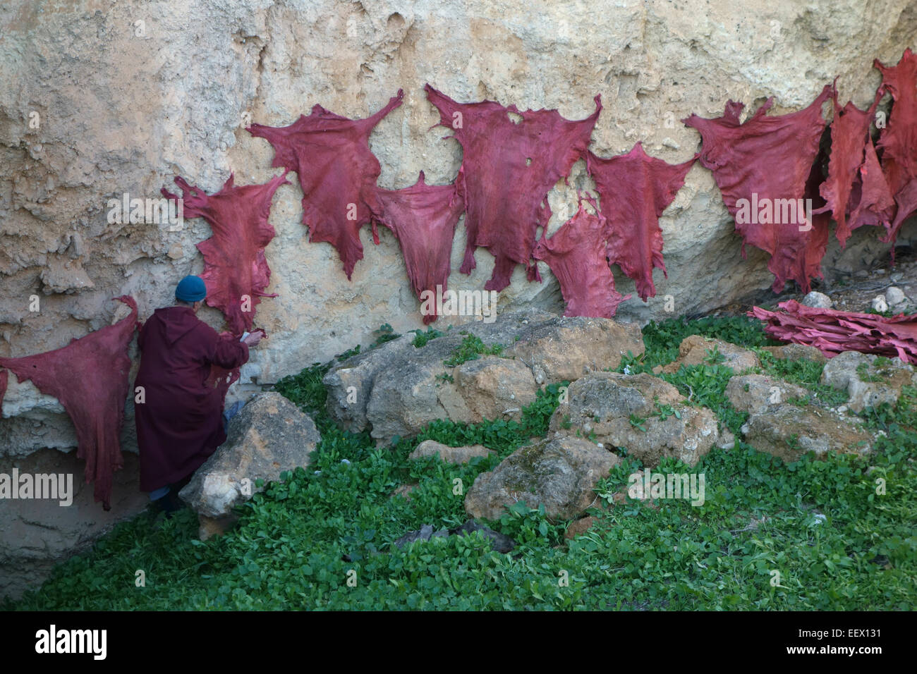 Hanging animal skins hi-res stock photography and images - Alamy