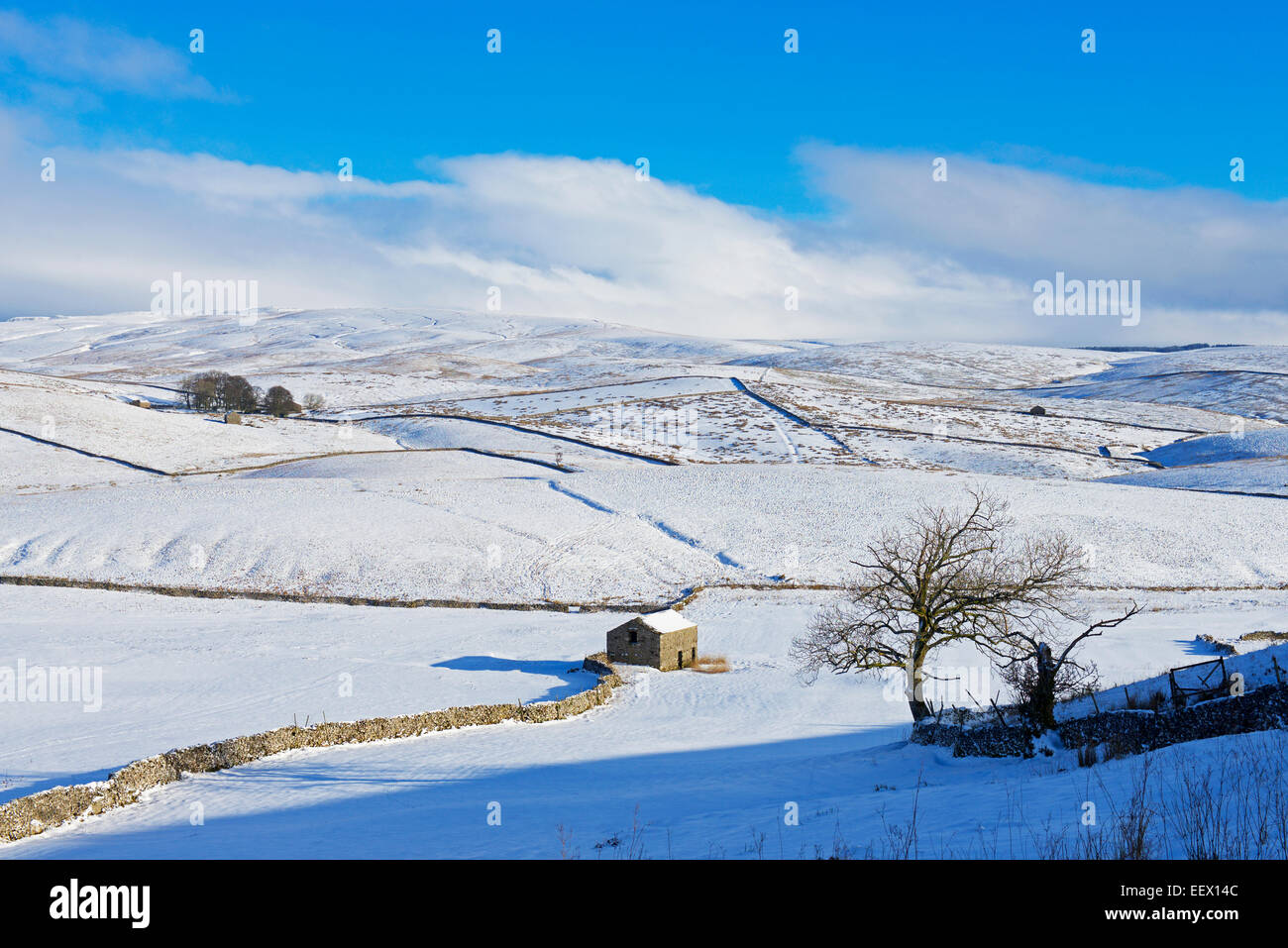 Field barn in Ribblesdale, Yorkshire Dales National Park, North Yorkshire, England UK Stock