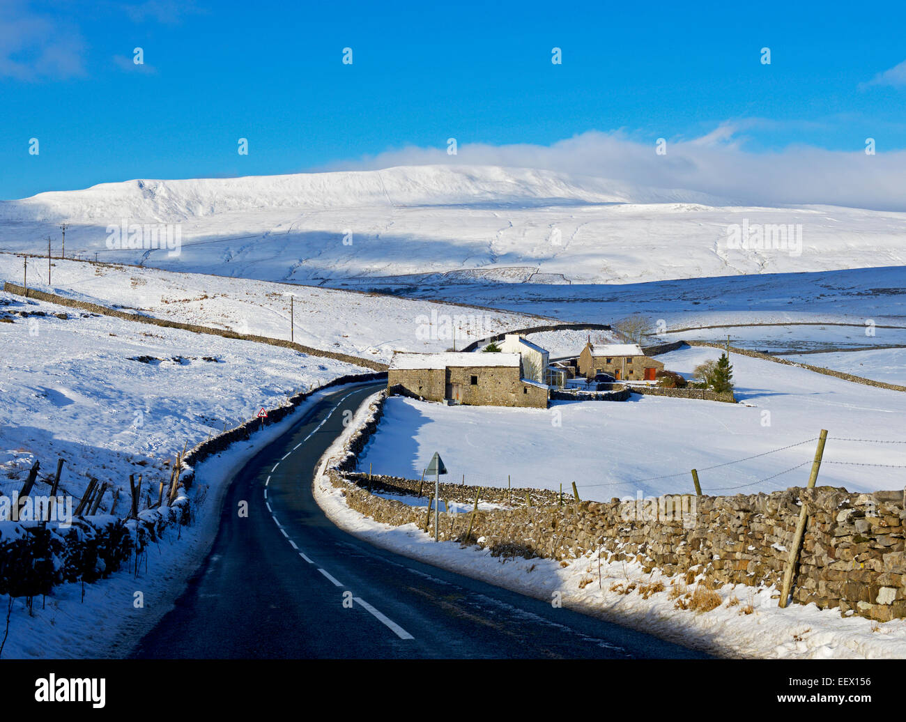 Farm in Ribblesdale, with Whernside in the distance, Yorkshire Dales National Park, North Yorkshire, England UK Stock Photo