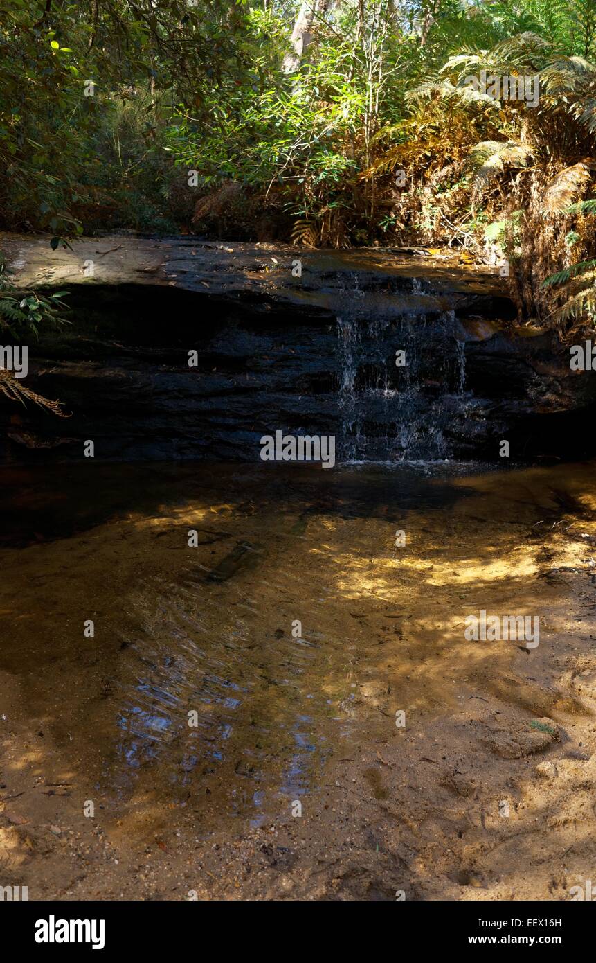 A little waterfall, one of dozens, along a stream of water in the Blue Mountains, Australia. Stock Photo