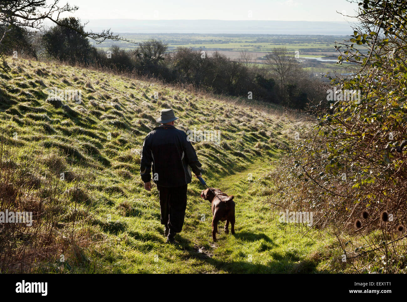 Man walking dog, Hellenge Hill in the Mendip hills, Bleadon, Somerset England UK Stock Photo