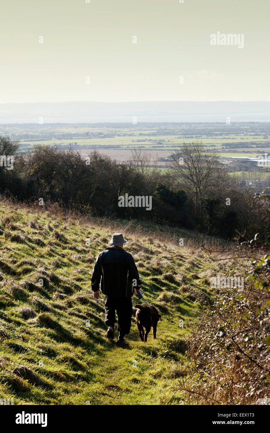 Man walking dog, Hellenge Hill in the Mendip hills, Bleadon, Somerset England UK Stock Photo