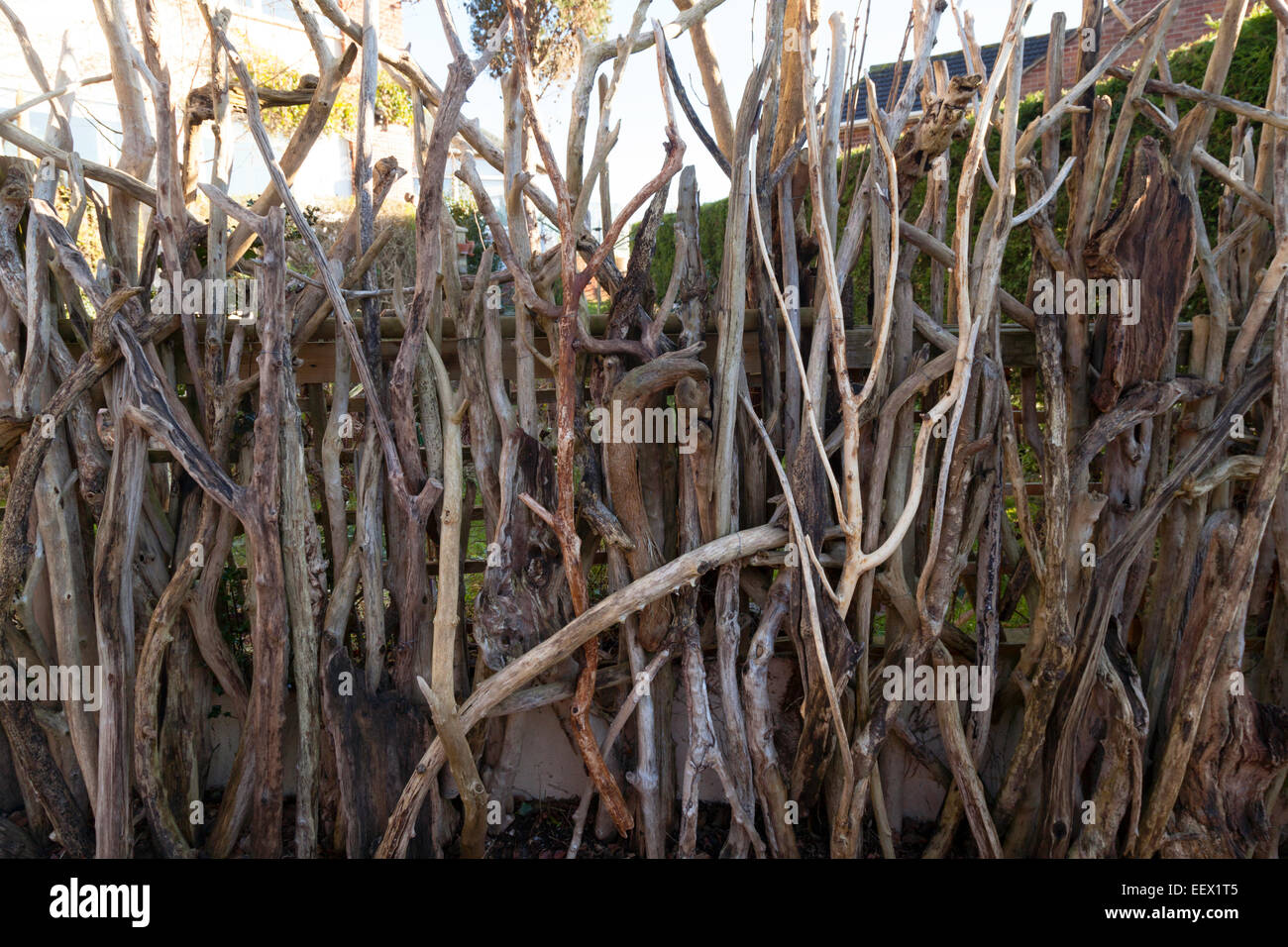 A fence made of driftwood around a private house, Bleadon village, Somerset, England UK Stock Photo