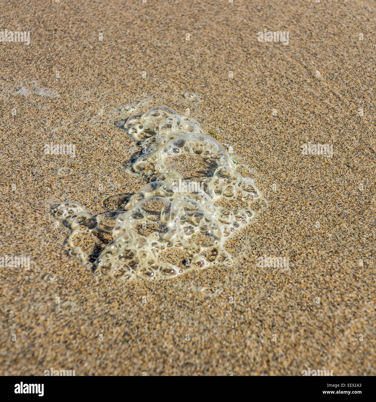 Bubbles on the sand Stock Photo Alamy