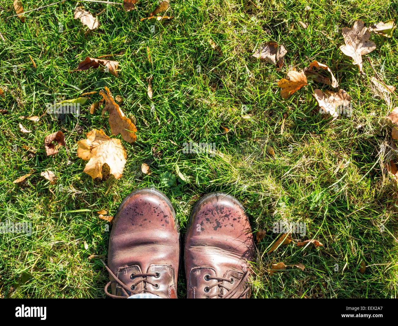 Wet shoes hires stock photography and images Alamy