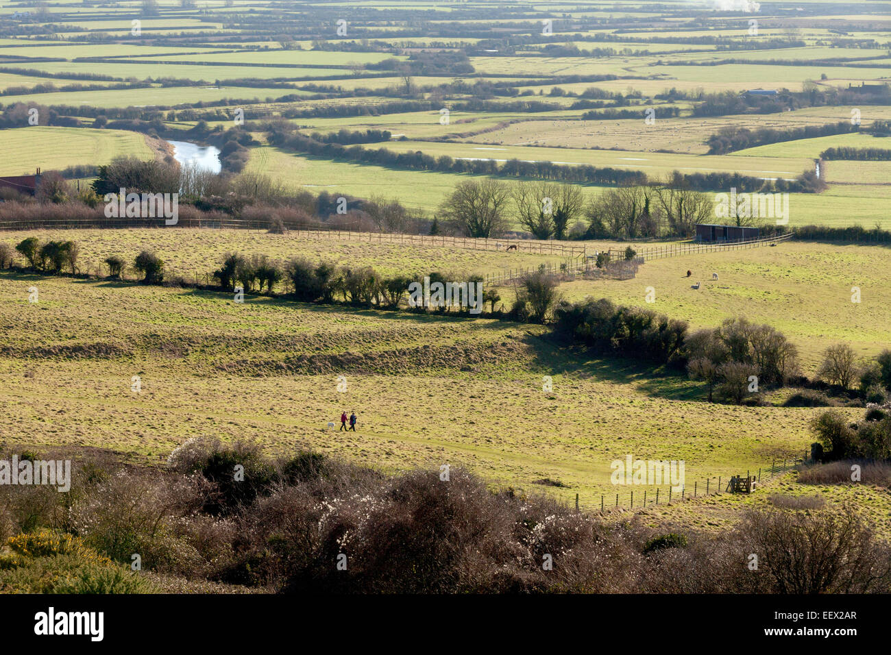 A view of the Somerset Levels and the river Axe from Hellenge Hill, the