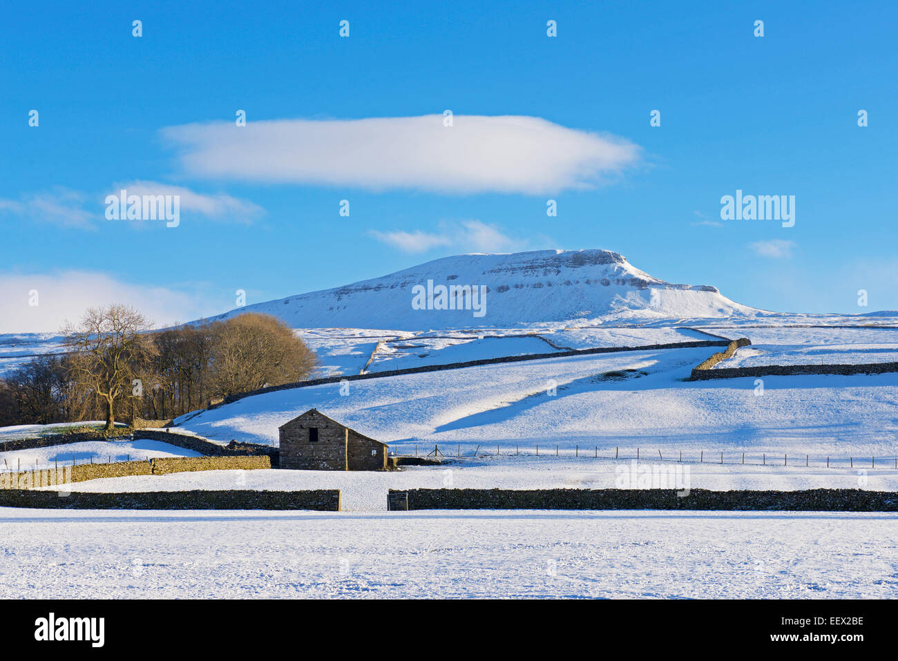Pen y Gent, of of Yorkshire's Three Peaks, Yorkshire Dales National Park, North Yorkshire