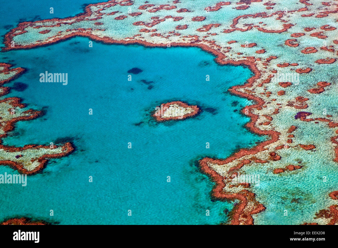 Aerial view of heart-shaped Heart Reef, part of the Great Barrier Reef of Whitsundays in the Great Barrie, Queensland, Australia Stock Photo