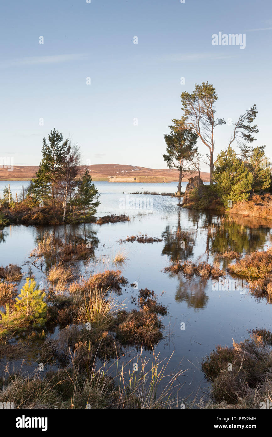 Lochindorb & Castle ruins in Scotland Stock Photo Alamy