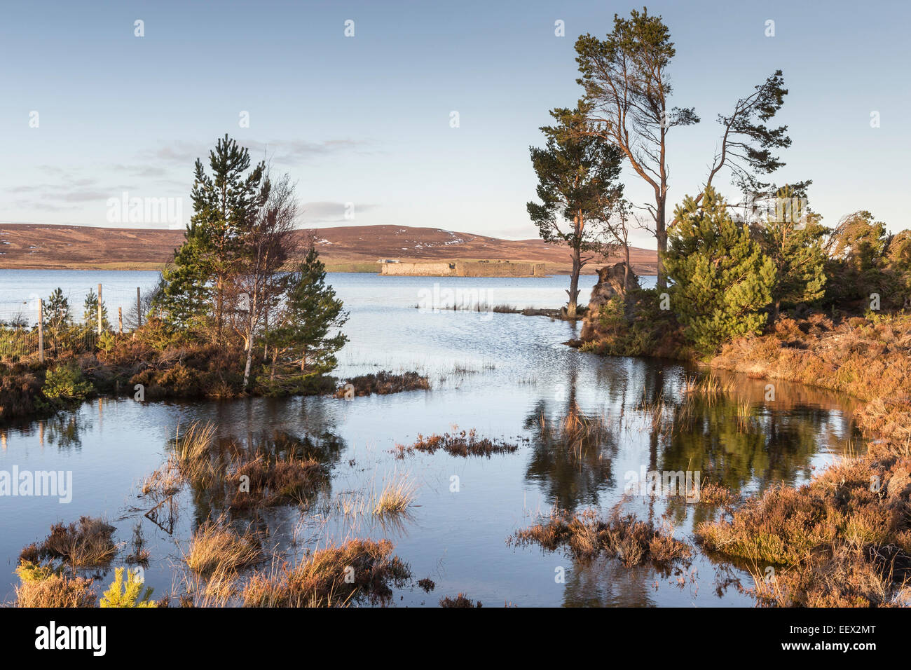 Lochindorb & Castle ruins in Scotland Stock Photo Alamy