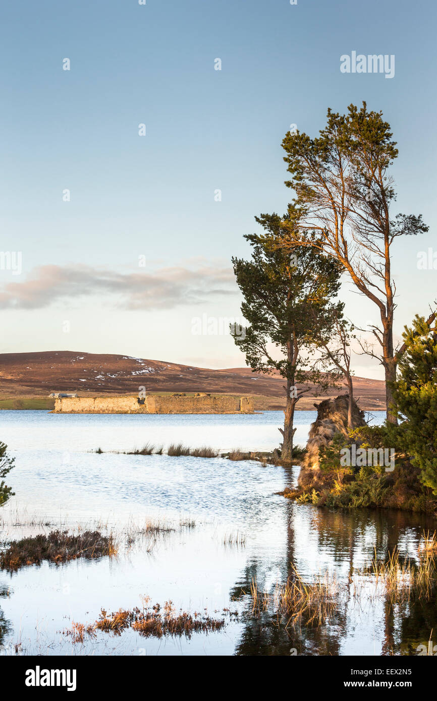 Lochindorb & Castle ruins in Scotland. Stock Photo