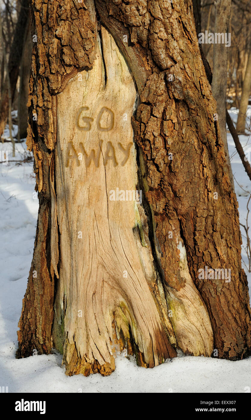Tree Trunk with 'Go Away' message carved into missing bark area. Stock Photo