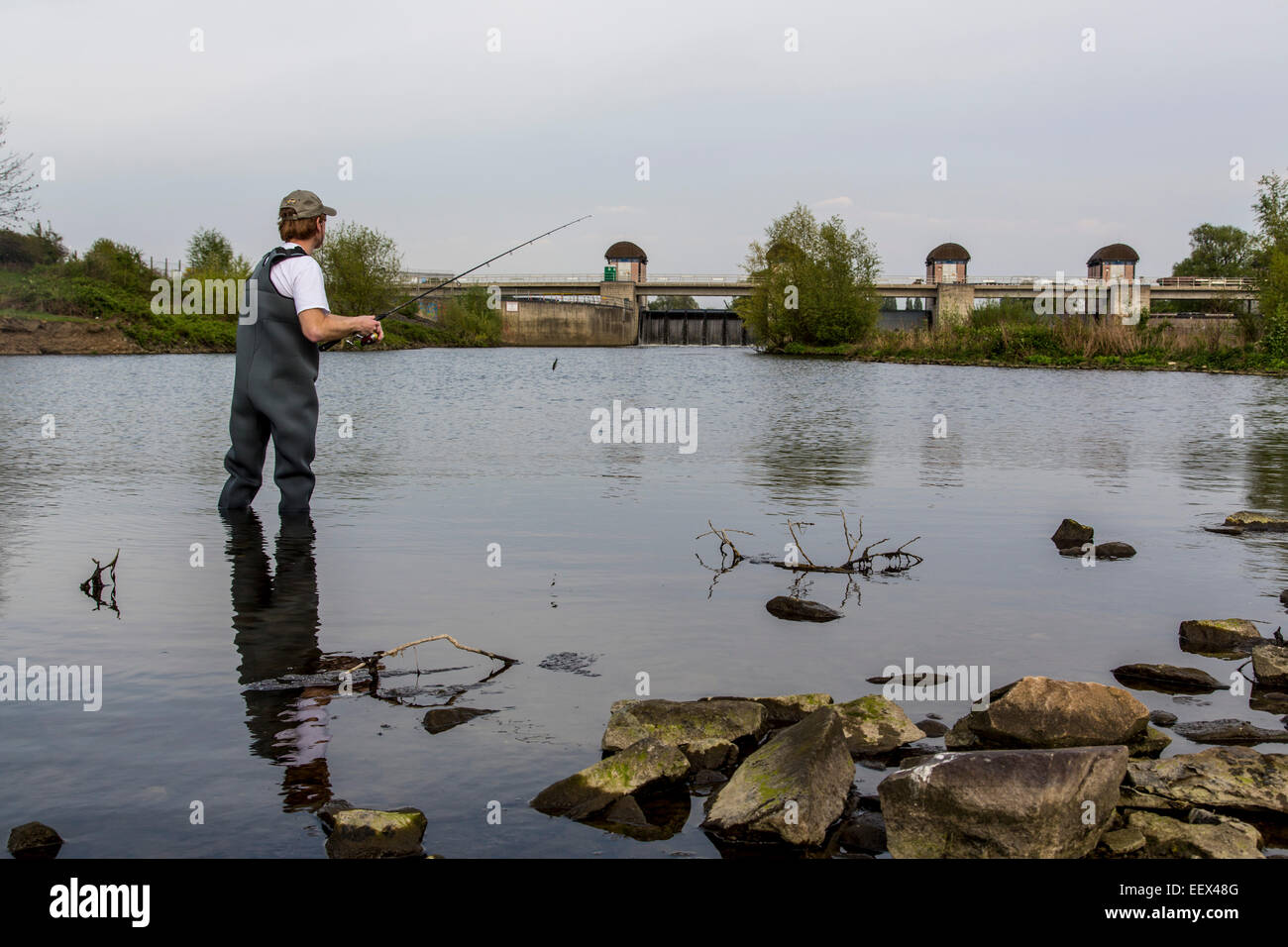 Angler in waders, in river Ruhr, Stock Photo