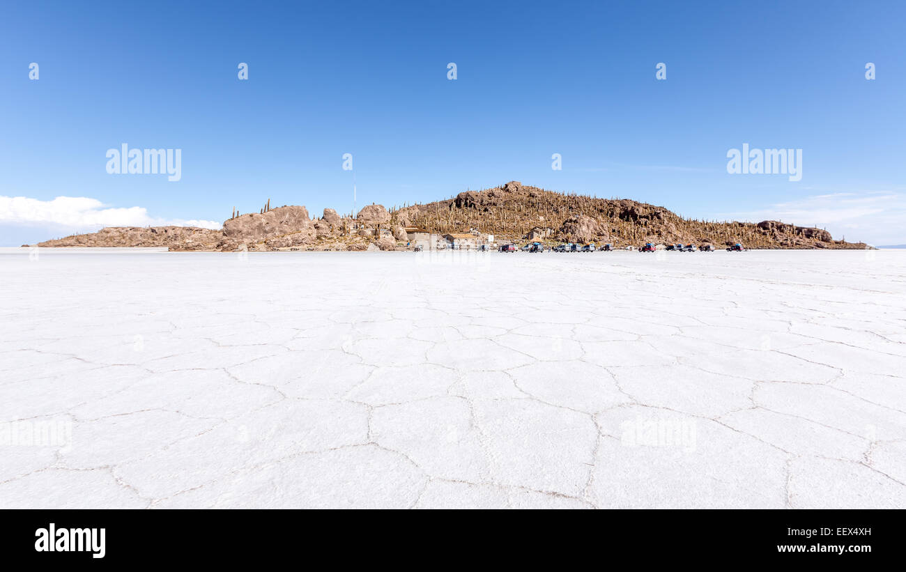 Isla Incahuasi at Salar de Uyuni salt flat, Altiplano, Bolivia, South America Stock Photo