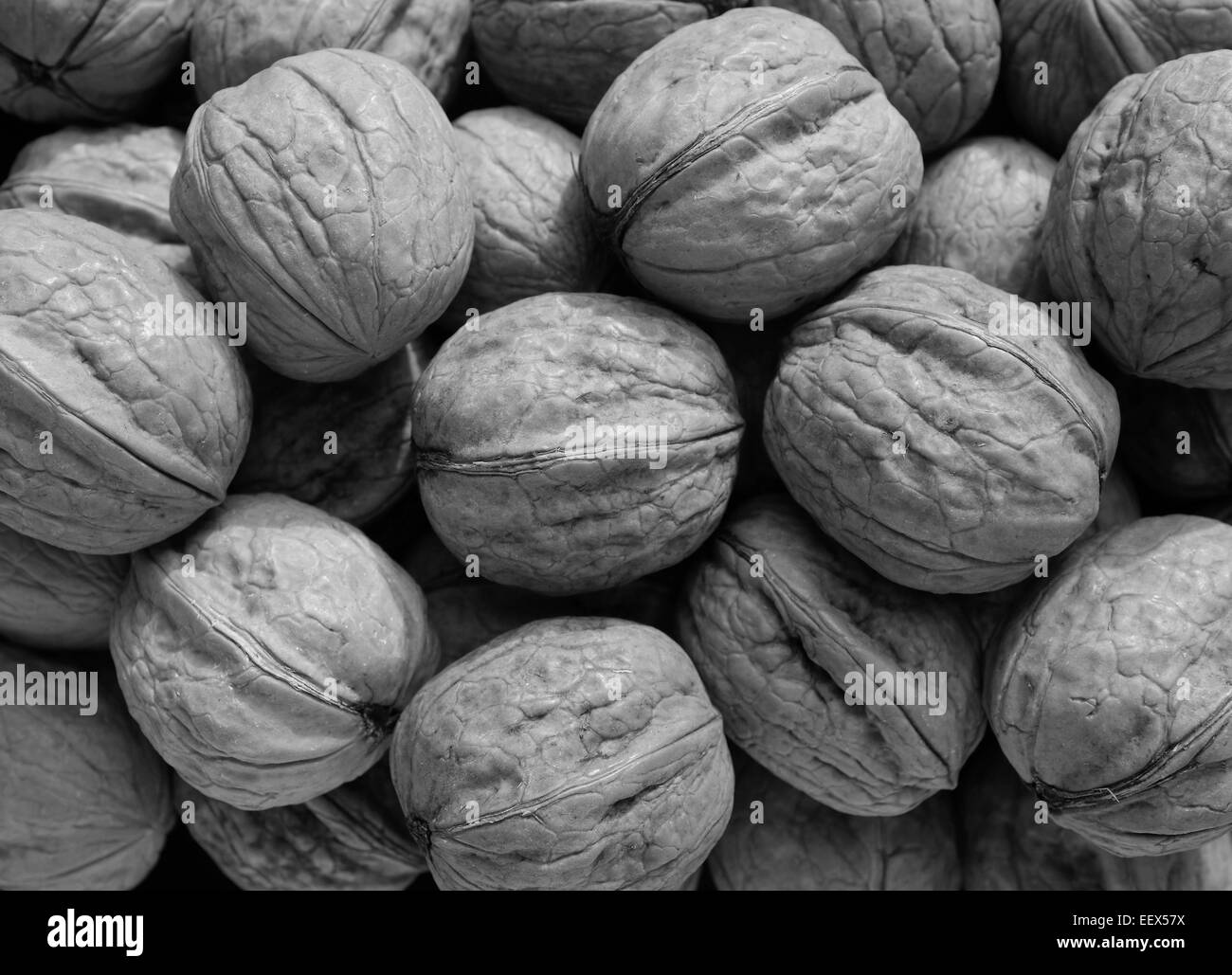 Walnuts shells Black and White Stock Photos & Images Alamy