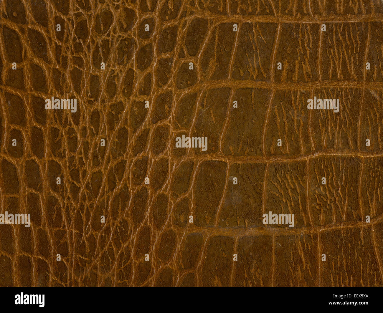 leather imitation crocodile skin Stock Photo