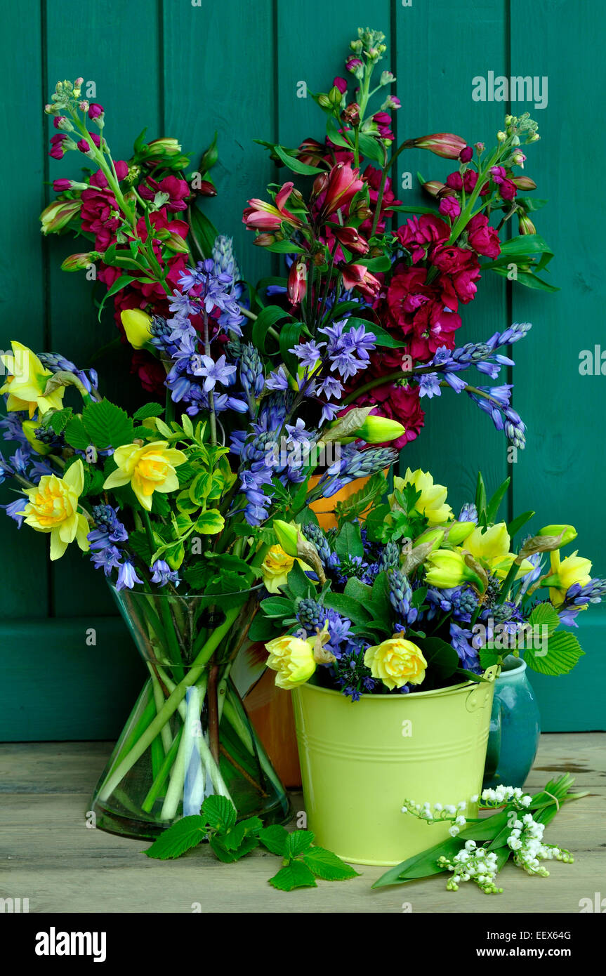 spring cut flower flowers Stock Photo