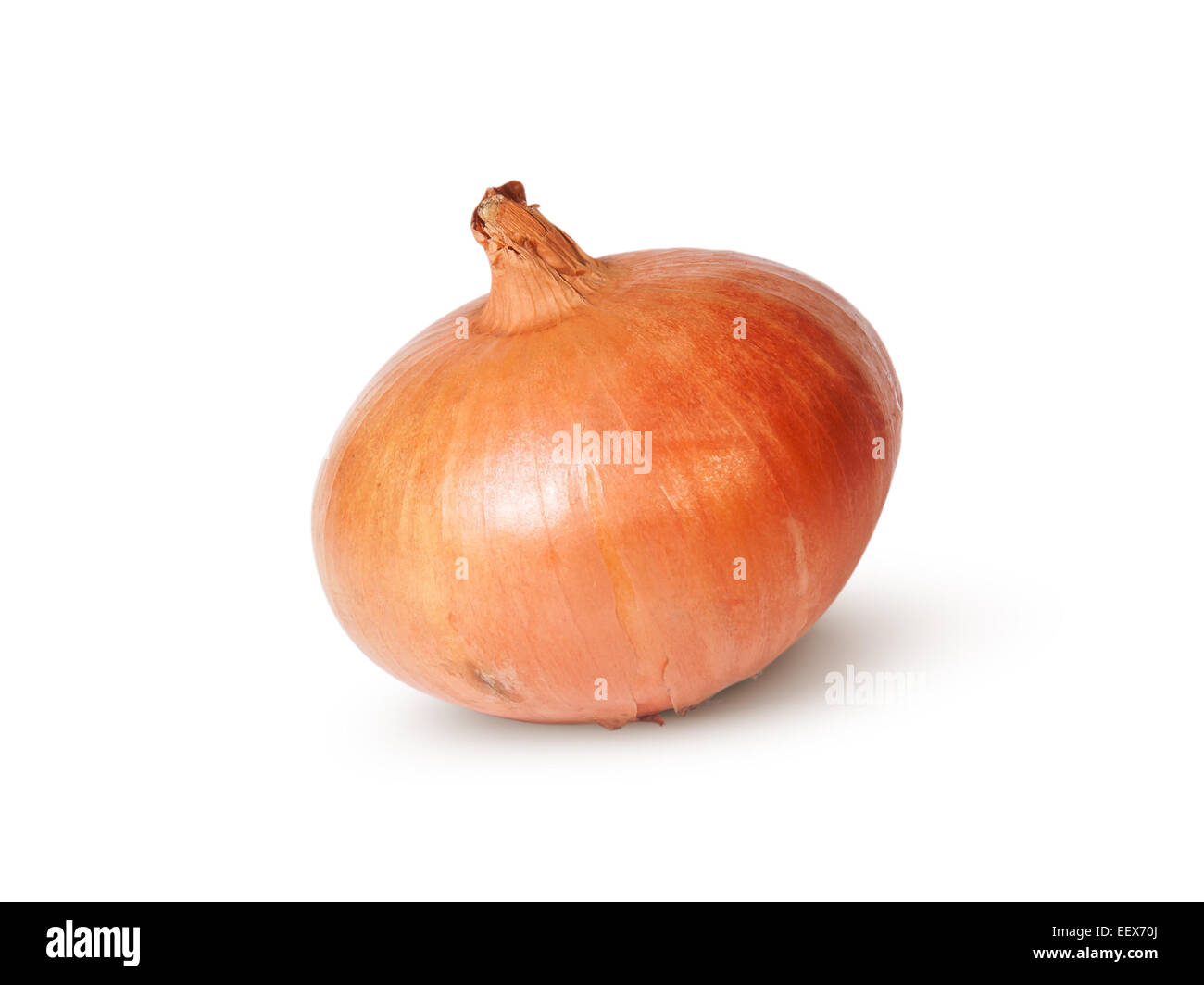 Single Fresh Golden Onion Isolated On White Background Stock Photo