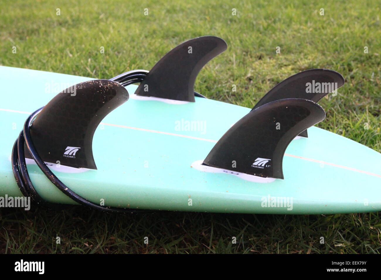 Fins on a surfboard Stock Photo Alamy