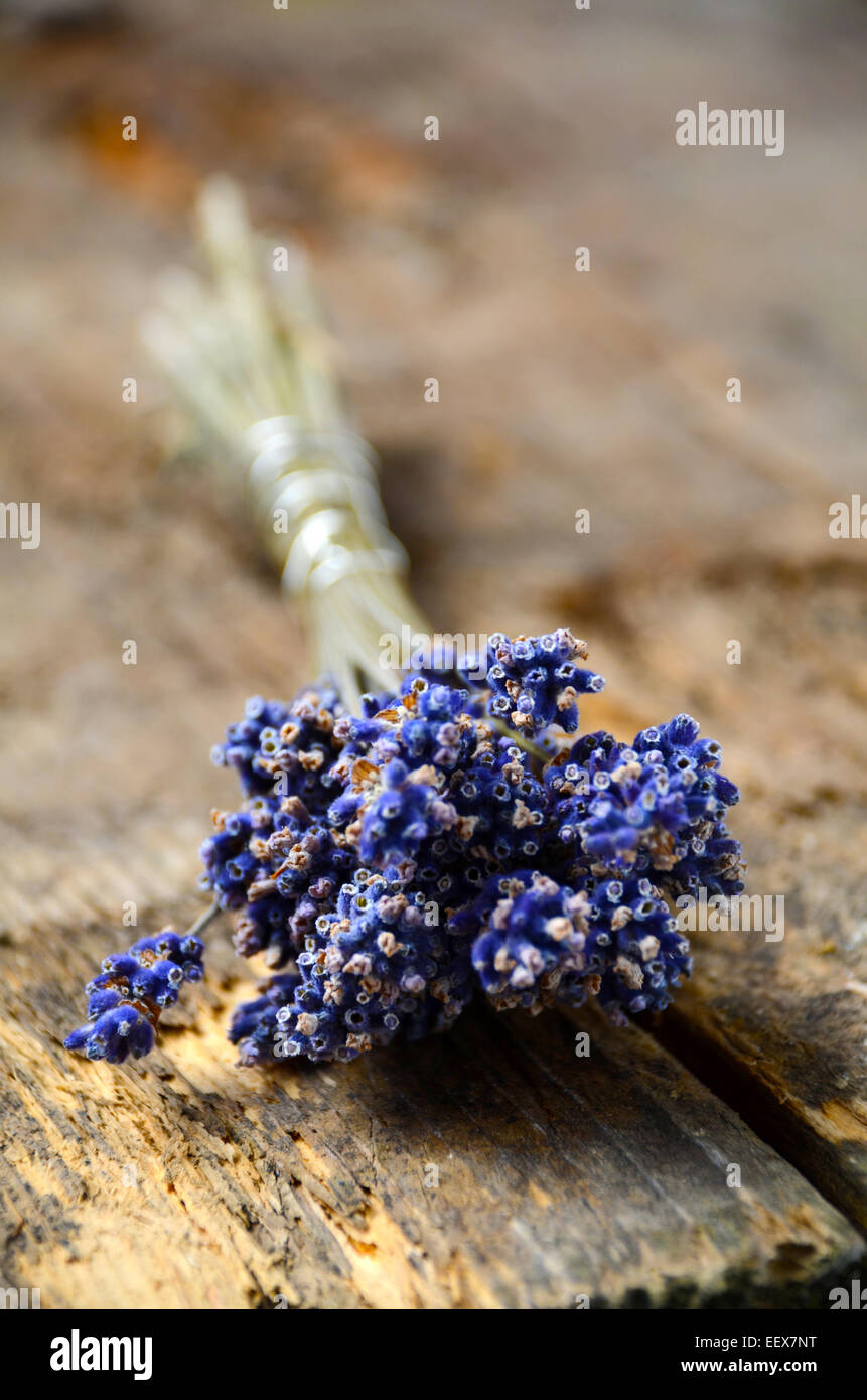 a bunch of lavender flowers Stock Photo Alamy