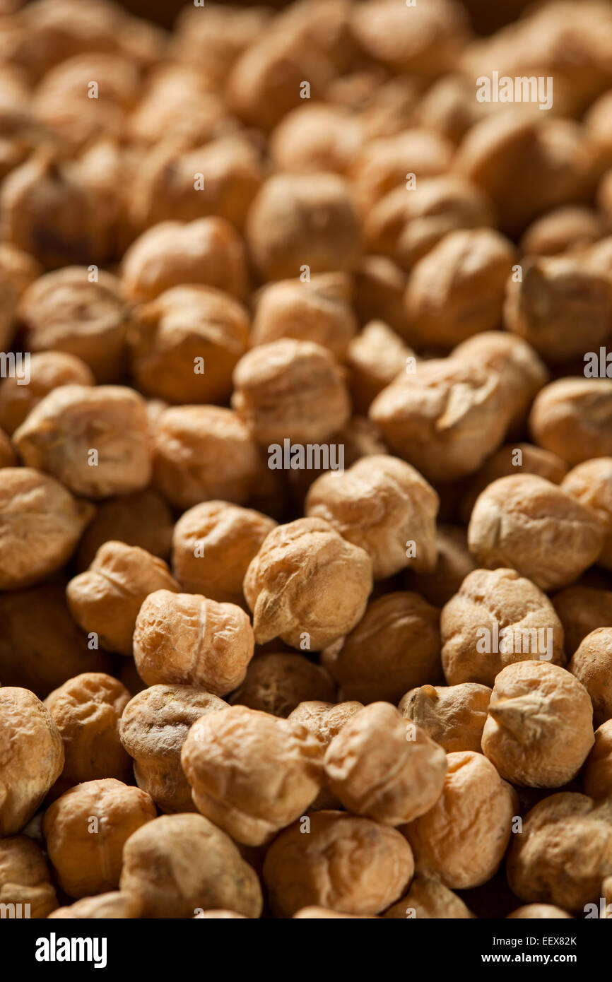 Raw Organic Garbanzo Beans in a Spoon Stock Photo Alamy