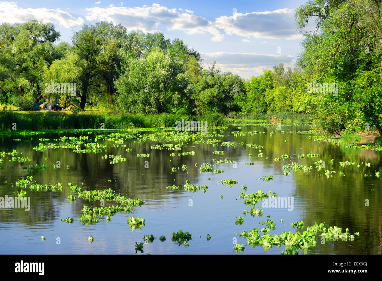Sunny summer day on a beautiful river Stock Photo