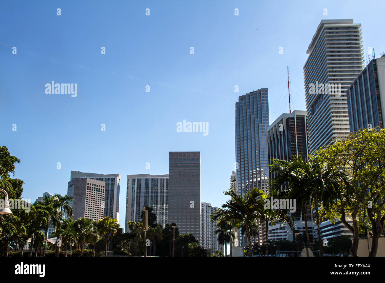 Buildings in Miami Downtown, United States Stock Photo