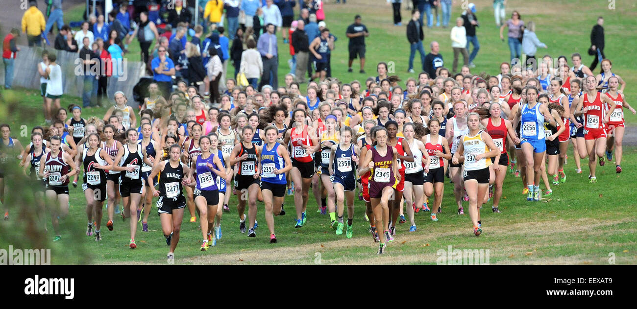 The start of the girls State Open Cross Country Championship at Wickham Park in Manchester. In the center, #2356 is Hannah DeBalsi of Staples, who won the race. Stock Photo